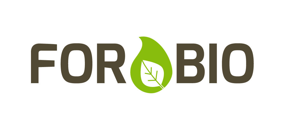 Обкладинка новини «Научно-технический центр "Биомасса" начинает реализацию проекта FORBIO»